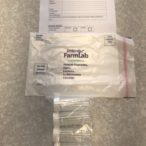 Fluke Worm Kit | Fluke Kit - Control Fluke Infestations with Farmlab.ie